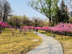 -玲珑塔公园