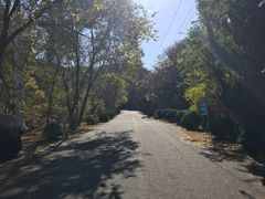 -金龙寺国家森林公园