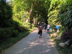 -望江楼公园