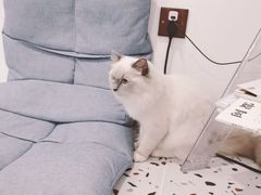 -FULL MOON满月咖啡