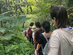 -会稽山峡洞漂流-上青古道