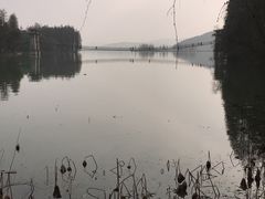 -东湖落雁景区
