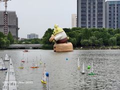 -南翔镇银翔湖公园