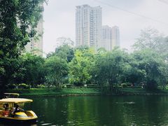-晓港公园