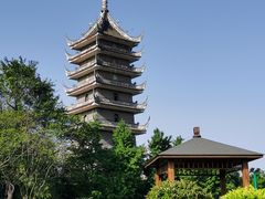 -生宇山珍野生菌汤锅•始于1999(双流古塔店)