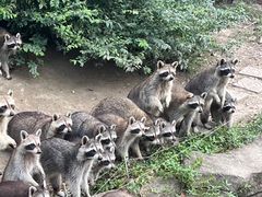 -宁波野生动物园