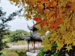 -花溪公园