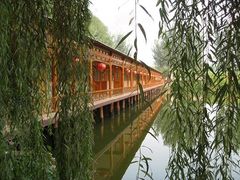 -白洋淀景区
