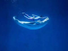 -芜湖新华联大白鲸海洋公园