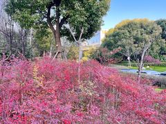 -金桥现代产业园区-停车场