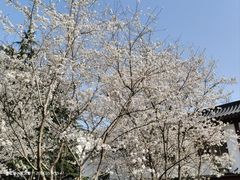-堤角公园