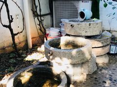 -悦真雅院·四合院·清真私房菜(雍和宫店)