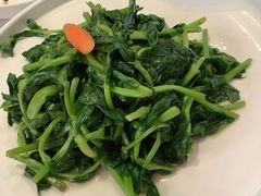 清炒豌豆尖-106餐厅(山水文园店)