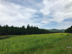 -塞罕坝国家级自然保护区