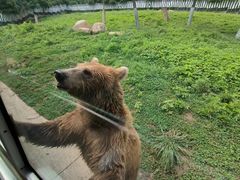 -西安秦岭野生动物园