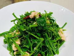 辣木苗鲜桃仁-悦融琥珀·京鲁菜·海味珍品(西单店)