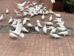 -王府井奥莱临潼小镇(临潼店)