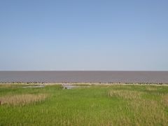 -南汇嘴观海公园
