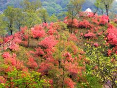 -西泰山风景区