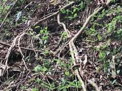 -藏龙百瀑风景区