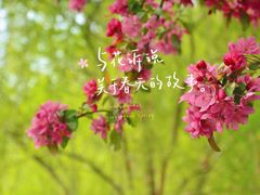 -三里河公园