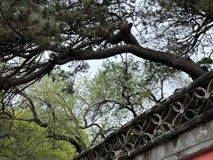-潭柘寺景区