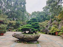-南山植物园