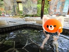 -明月山天沐温泉度假村