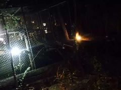-清迈夜间动物园