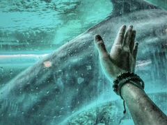 -波塞冬旅游度假区