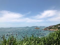 -枸杞岛