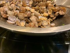红岛蛤蜊-浩运·海鲜青岛菜·海胆水饺(石老人店)
