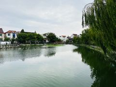 -金山嘴渔村