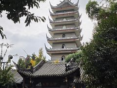 -生宇山珍野生菌汤锅•始于2002(双流古塔店)