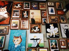 -猫咪博物馆(顶澳仔猫街店)