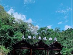 -普洱太阳河森林公园