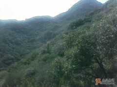 -阳台山自然风景区