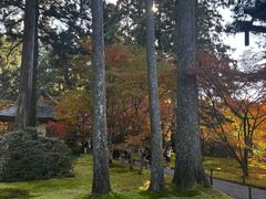 -三千院