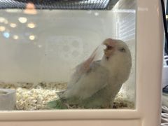 -宠物世家(仲盛世界商城店)