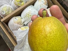 -海吉星国际农产品物流管理有限公司