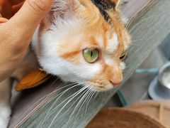 -Again Coffee Roaster(香蜜湖店)