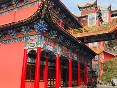 -东莞市大岭山森林公园