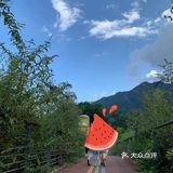 512大地震后的小鱼洞