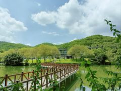 -广州市白云山风景名胜区