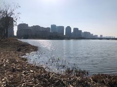 -绍兴镜湖国家城市湿地公园