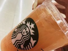冰摇桃桃乌龙茶-星巴克(天津站区第二店)