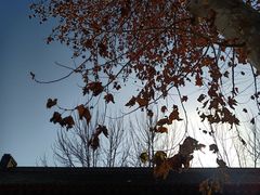 -八路军西安办事处纪念馆