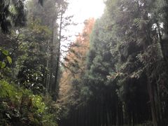 -山王坪喀斯特国家生态公园