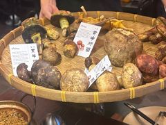 -滇野云南野生菌餐厅(陕西南路店)