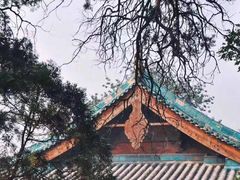 -晋祠公园